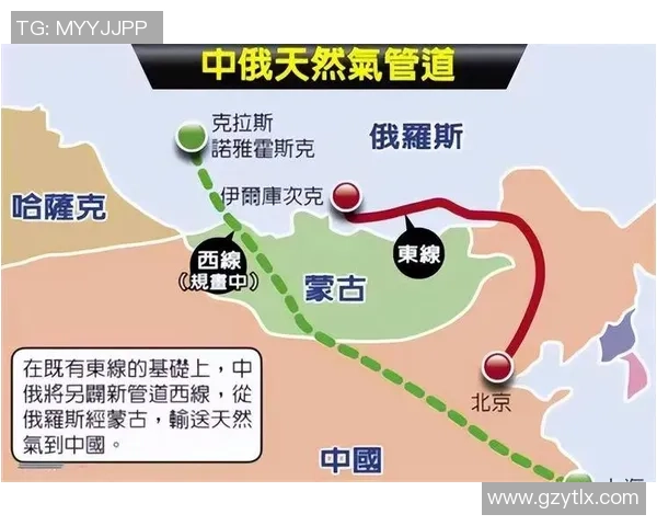 亚马尔地区的资源开发与国际合作新机遇分析