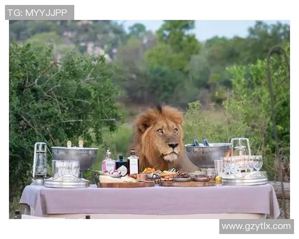 雄狮理发前后的惊人变化揭示了外貌与自信之间的微妙关系