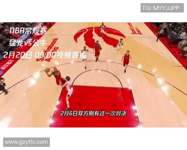 2013年NBA热火与猛龙精彩对决直播回顾与分析