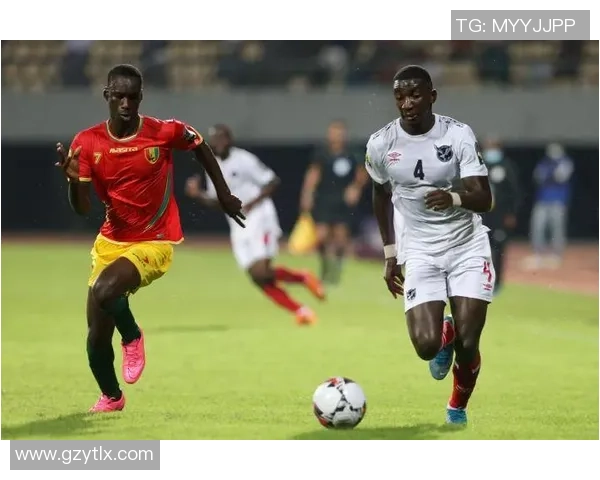 几内亚与纳米比亚足球对决分析及比赛前瞻展望