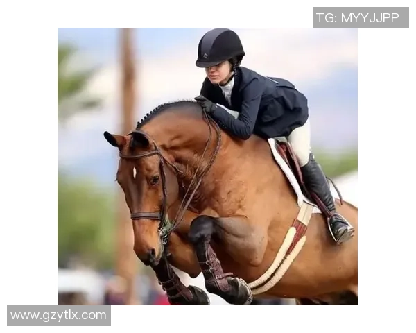 新浪体育智力对抗俄罗斯强强联手展现体育魅力与智慧较量