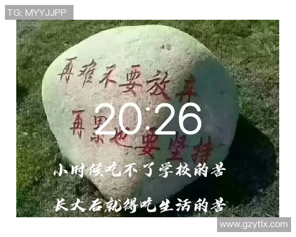 杨明星篮球：从校园到职业的奋斗历程与辉煌成就分享