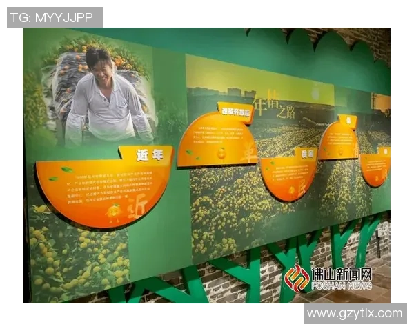 成都排球队的崛起之路：世锦赛背后的奋斗与成长故事