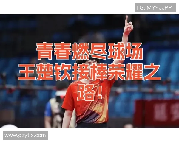 深圳篮球队的拼搏之路：一段不屈不挠的奋斗历程与荣耀追寻